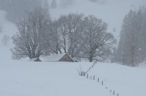 01_Winter im Brandnertal_Gerhard Becker     