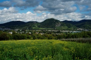 01_Siebengebirge, Blick vom Rodderberg   