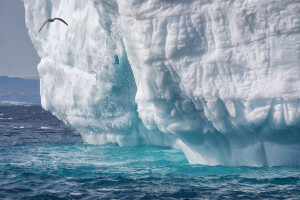 01_Eisberg im Westen Grönlands, Nähe Polarkreis_Dr. Arno Bokeloh