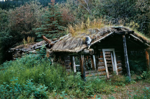 11Ruine-Blockhaus-Yukon
