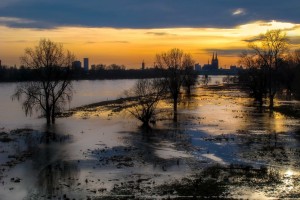 Rheinhochwasser in Köln_Gerhard Becker